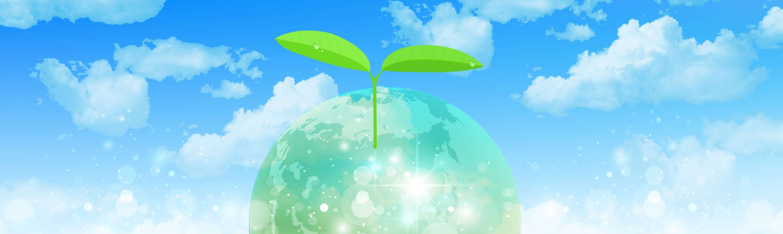 株式会社ワイ・エス・ディ